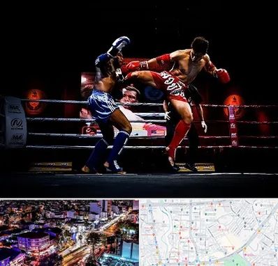 باشگاه موی تای در منظریه رشت