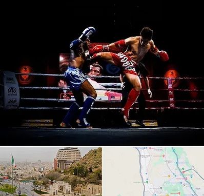 باشگاه موی تای در فرهنگ شهر شیراز