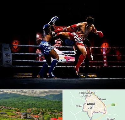 باشگاه موی تای در آمل