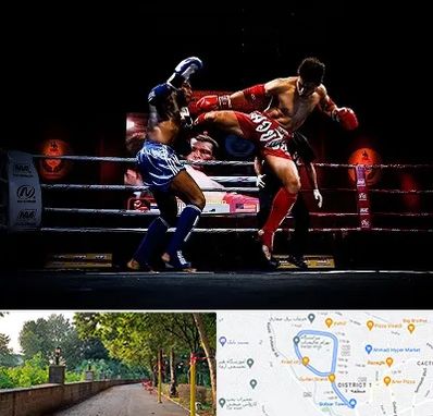 باشگاه موی تای در بلوار گیلان رشت