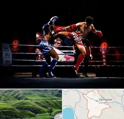 باشگاه موی تای در گچساران