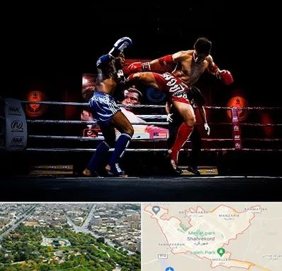 باشگاه موی تای در شهرکرد