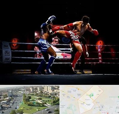 باشگاه موی تای در کمال شهر کرج