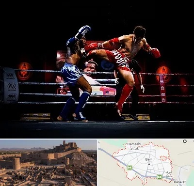 باشگاه موی تای در بم