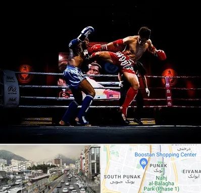 باشگاه موی تای در پونک 