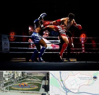 باشگاه موی تای در مرزداران تبریز