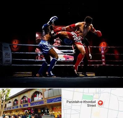 باشگاه موی تای در 15 خرداد