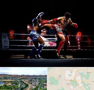 باشگاه موی تای در شهریار