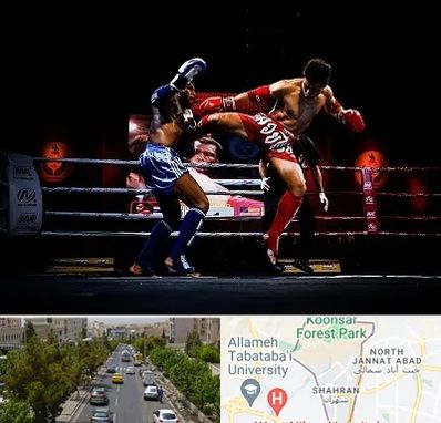 باشگاه موی تای در شهران 