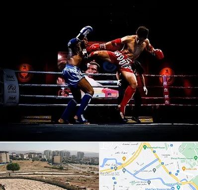 باشگاه موی تای در کوی وحدت شیراز