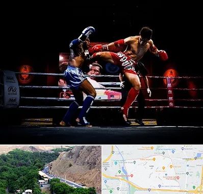 باشگاه موی تای در کن 