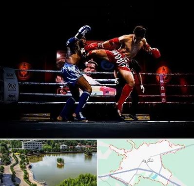 باشگاه موی تای در لنگرود