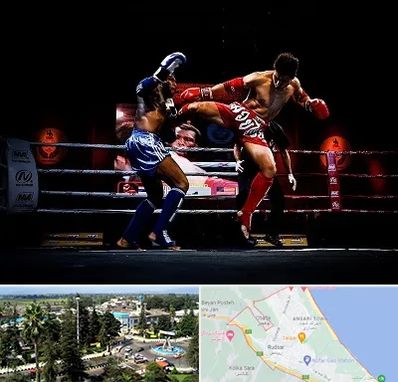 باشگاه موی تای در رودسر