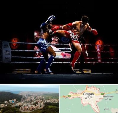 باشگاه موی تای در گرگان