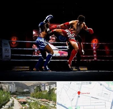 باشگاه موی تای در بلوار تعاون