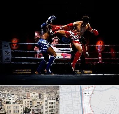 باشگاه موی تای در اسکندری