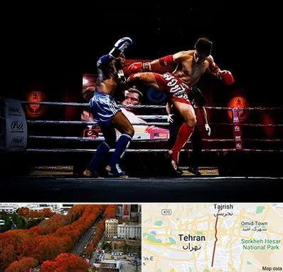 باشگاه موی تای در ولیعصر 