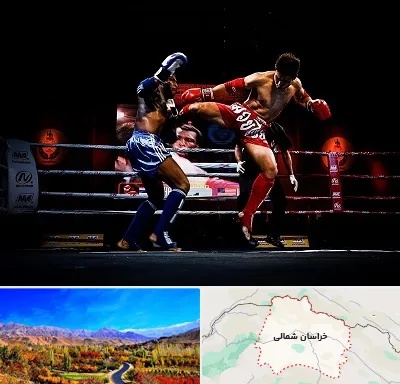 باشگاه موی تای در خراسان شمالی