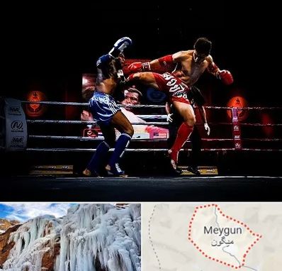 باشگاه موی تای در میگون