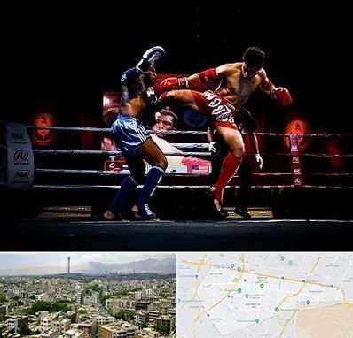 باشگاه موی تای در منطقه 8 تهران 