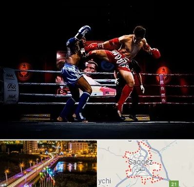 باشگاه موی تای در سقز