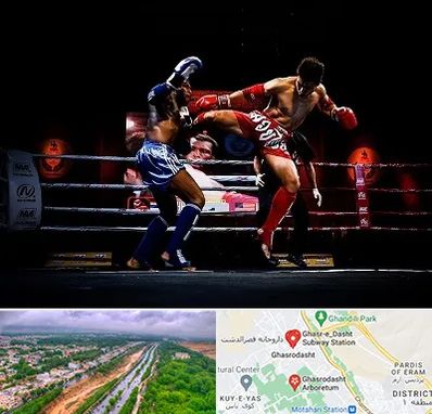 باشگاه موی تای در قصرالدشت شیراز