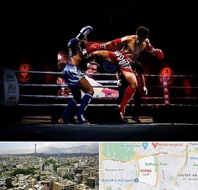 باشگاه موی تای در گیشا 