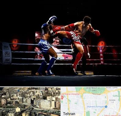 باشگاه موی تای در مرزداران 