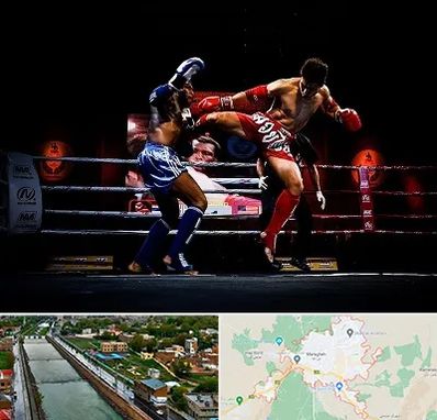 باشگاه موی تای در مراغه