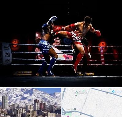 باشگاه موی تای در ازگل