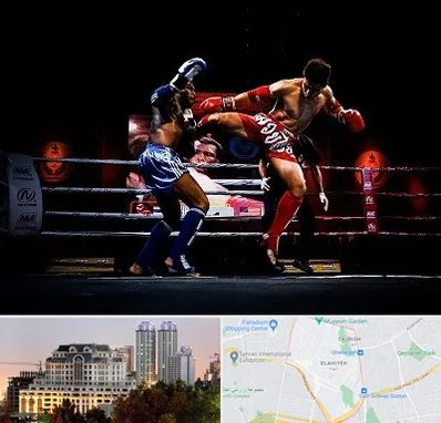 باشگاه موی تای در فرشته 