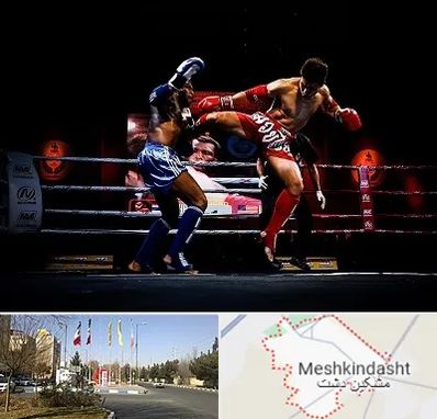 باشگاه موی تای در مشکین دشت