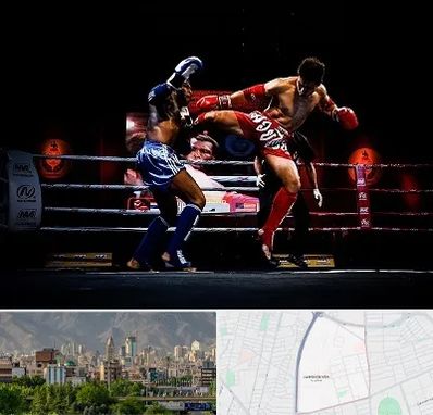 باشگاه موی تای در جمشیدیه