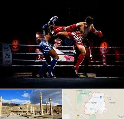 باشگاه موی تای در مرودشت