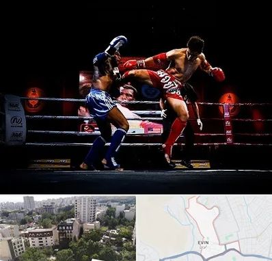 باشگاه موی تای در اوین