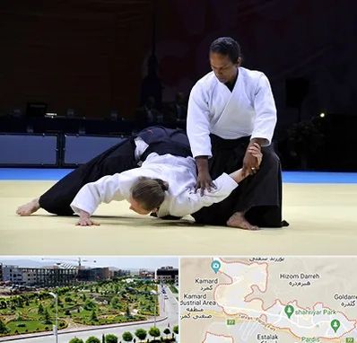 باشگاه آیکیدو در پردیس