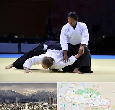 باشگاه آیکیدو در منطقه 4 تهران 