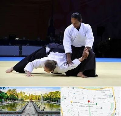 باشگاه آیکیدو در سرسبز 