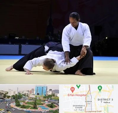 باشگاه آیکیدو در ونک 