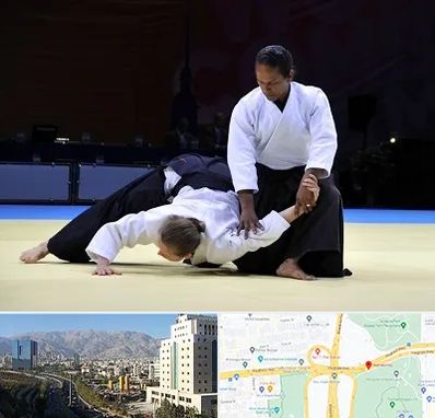 باشگاه آیکیدو در حقانی 