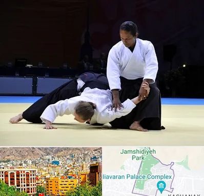 باشگاه آیکیدو در نیاوران 