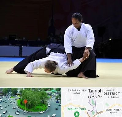 باشگاه آیکیدو در تجریش 