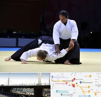 باشگاه آیکیدو در پارک وی 