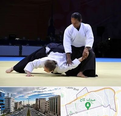 باشگاه آیکیدو در سعادت آباد 