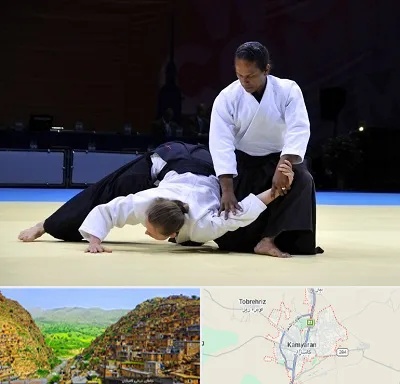 باشگاه آیکیدو در کامیاران