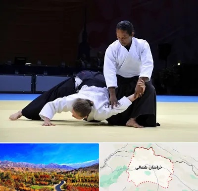 باشگاه آیکیدو در خراسان شمالی