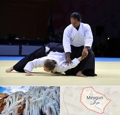 باشگاه آیکیدو در میگون