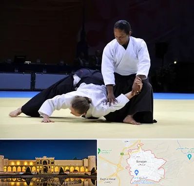 باشگاه آیکیدو در برازجان