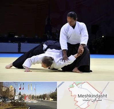 باشگاه آیکیدو در مشکین دشت