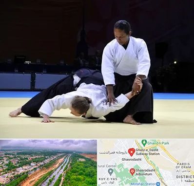 باشگاه آیکیدو در قصرالدشت شیراز